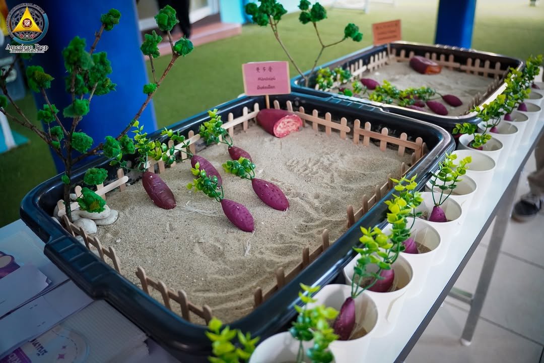 American Prep International School - Hat Yai